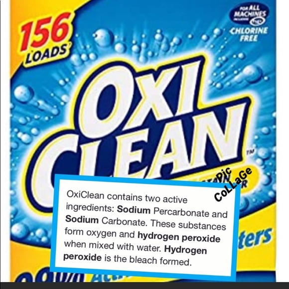 Meet your Posher, Riley - Picture 11 of 16